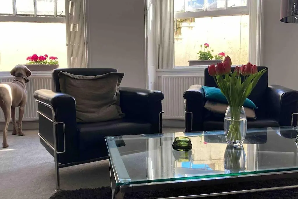 Regency Brighton Seafront Apartment contacts