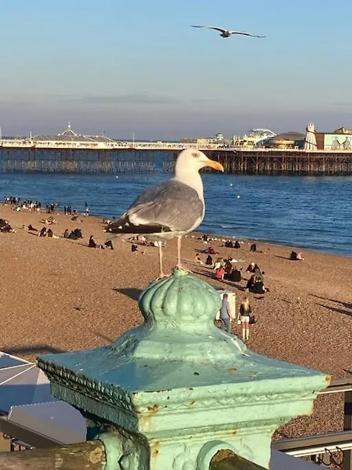 Regency Brighton Seafront Apartment